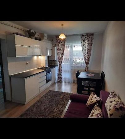 Diana Apartament Appartement Braşov Buitenkant foto