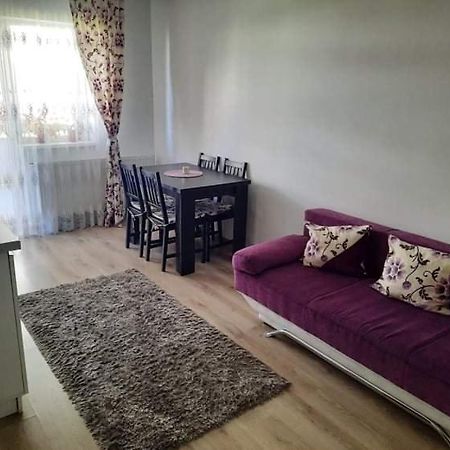Diana Apartament Appartement Braşov Buitenkant foto