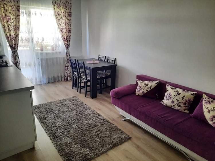 Diana Apartament Appartement Braşov Buitenkant foto